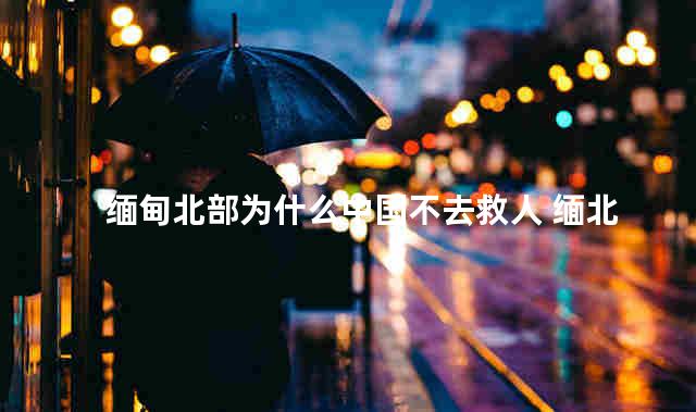 缅甸北部为什么中国不去救人 缅北一年死多少中国人